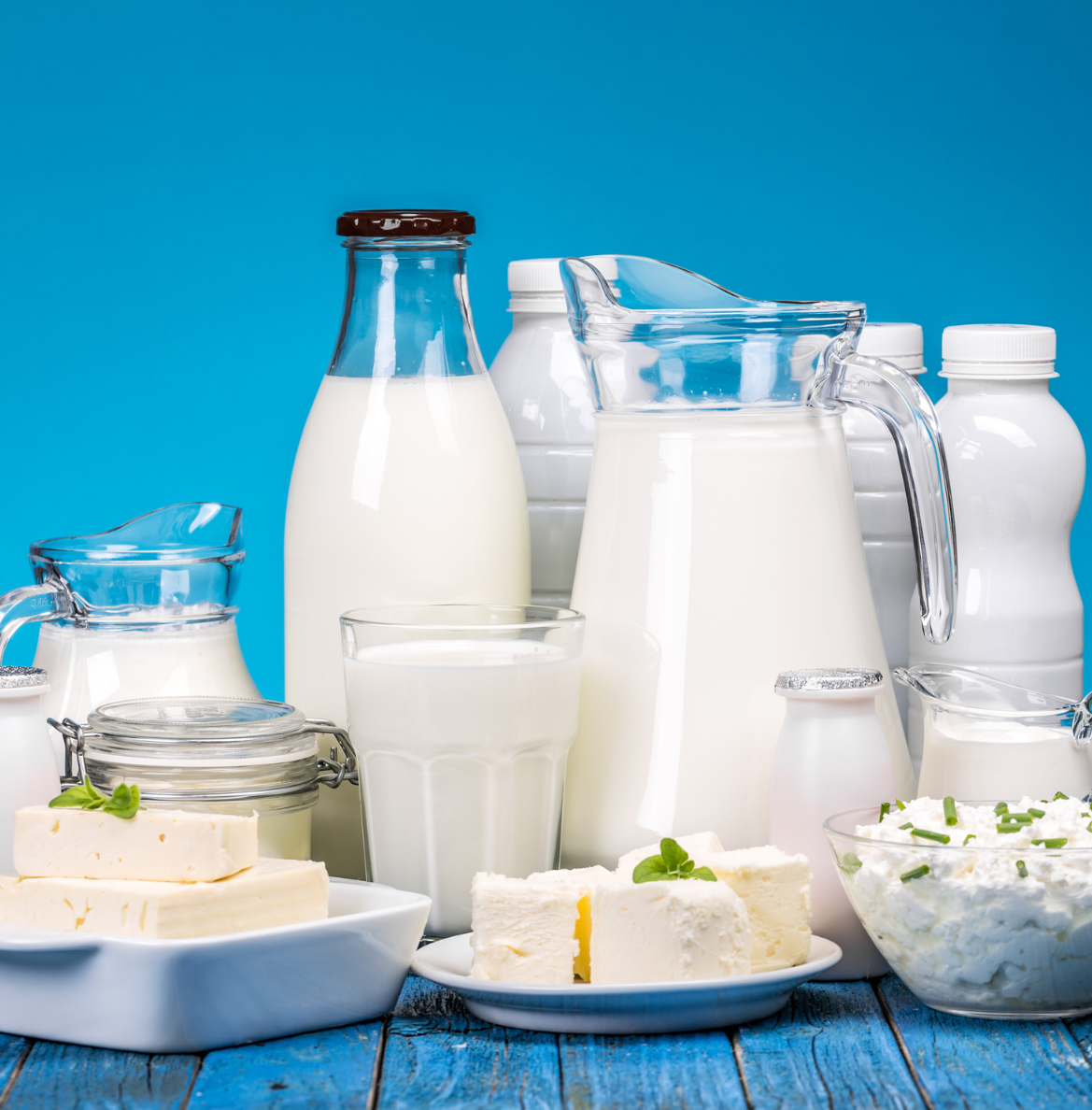 Dairy Management System